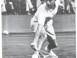 bunny_austin_con_hazzell_streamline